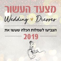 נפרדים מ-2019: האם נטע אלחמיסטר בדרך לניצחון?