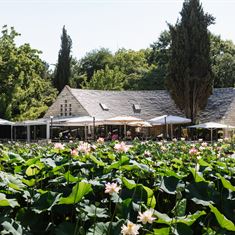 אירוע בוטיק עם קסם ירושלמי 